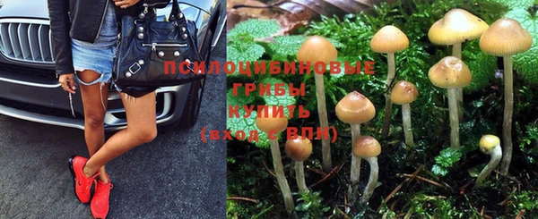 прущий лед Абдулино