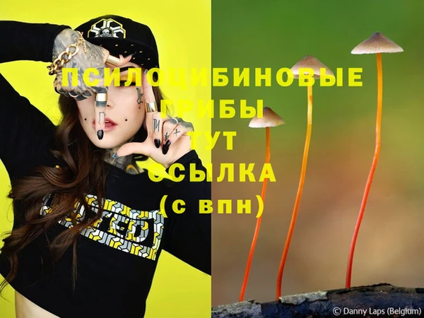 ALPHA-PVP Абинск