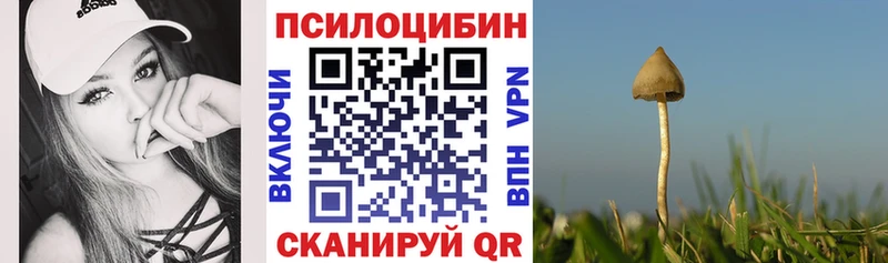 Псилоцибиновые грибы прущие грибы  omg маркетплейс  маркетплейс какой сайт  Зеленокумск 